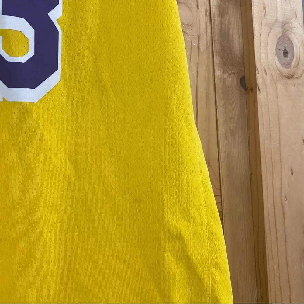Nike Los Angeles Lakers LeBron James Icon Edition Swingman Jersey